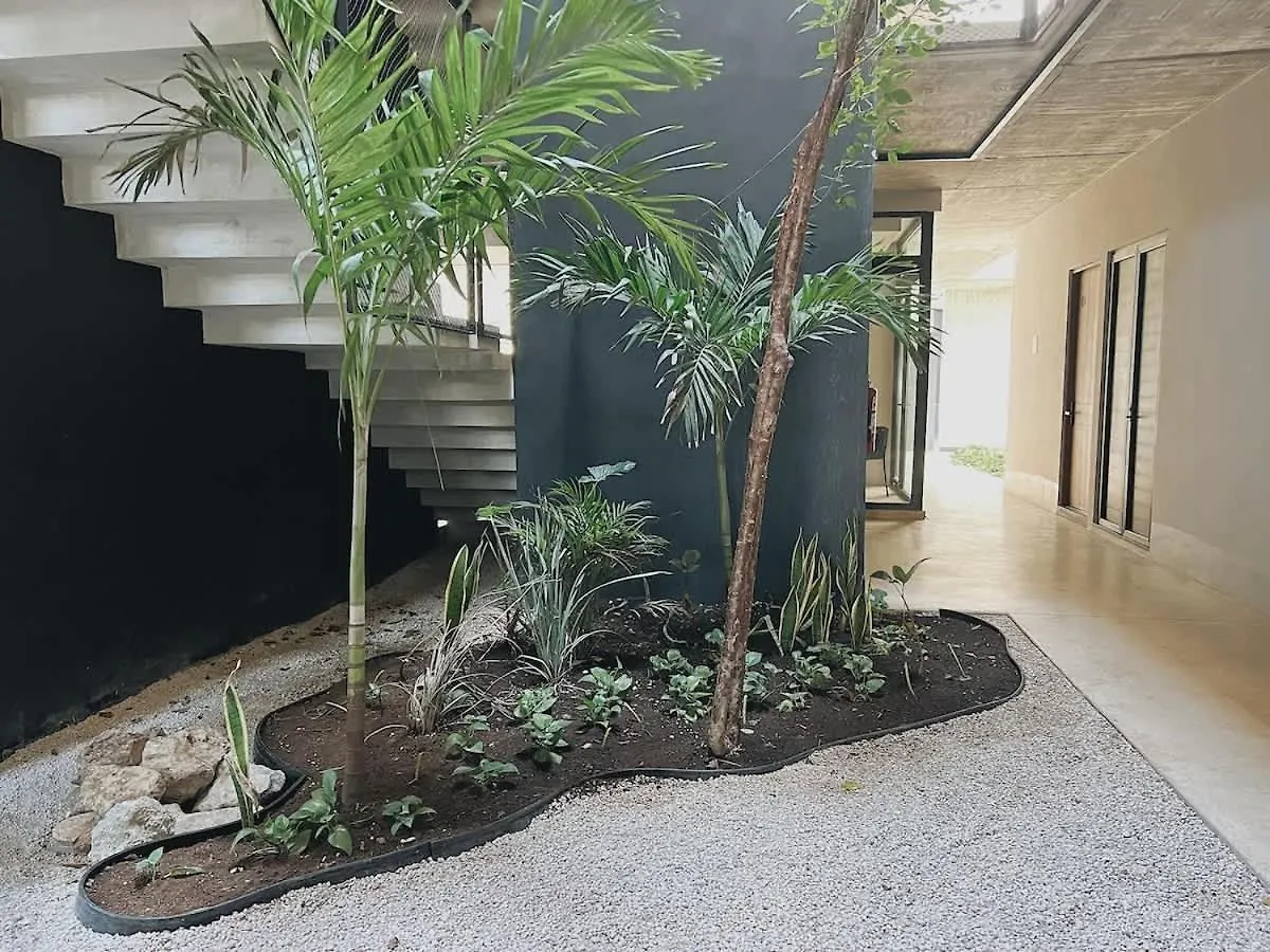 Gym And King Size Bed Main Street Apartment Tulum 0*,  Mexico
